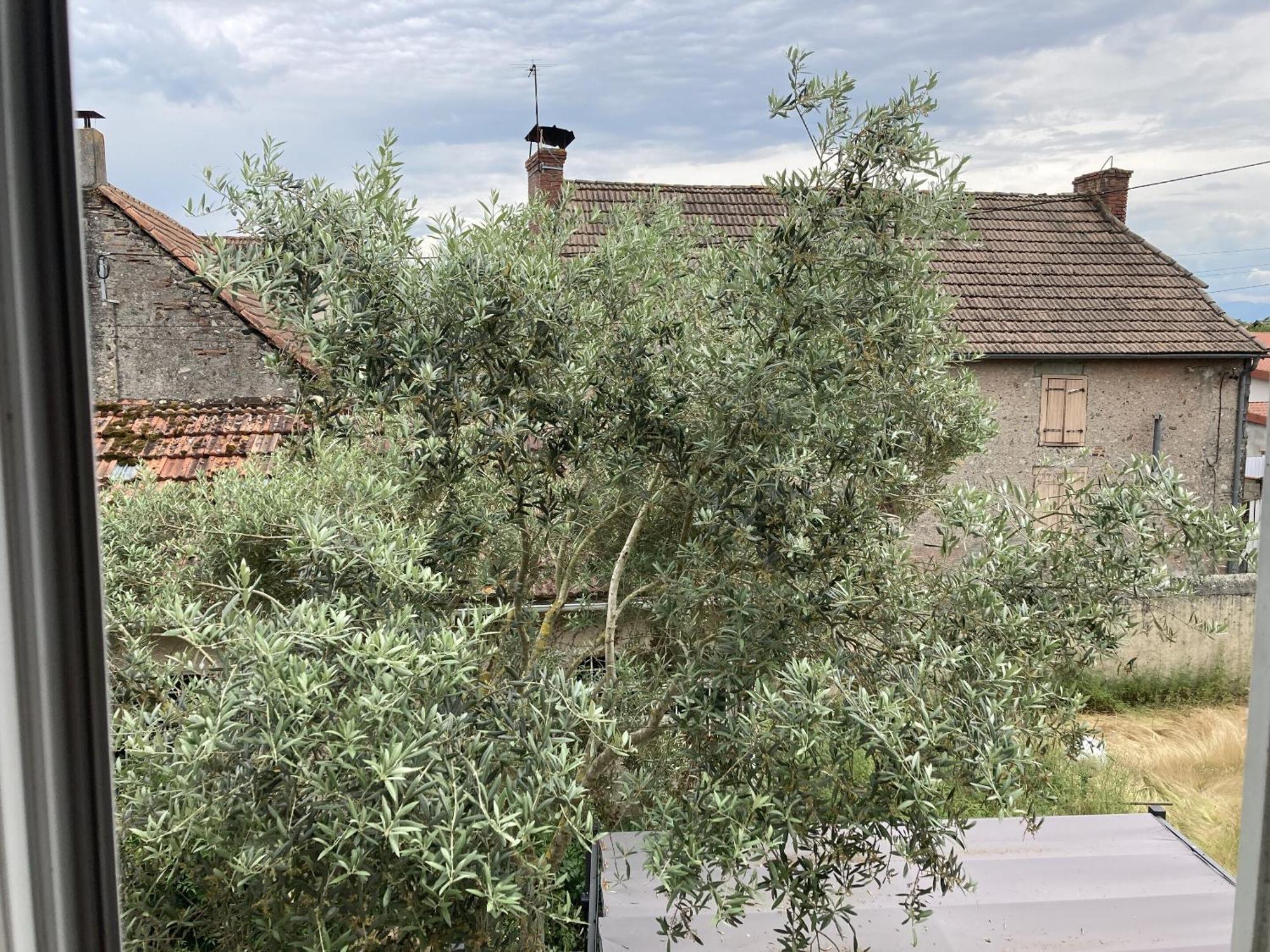 Location Appartement Des Pyrenees Borderes-sur-l'Echez Habitación foto